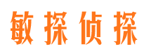 爱民市侦探公司